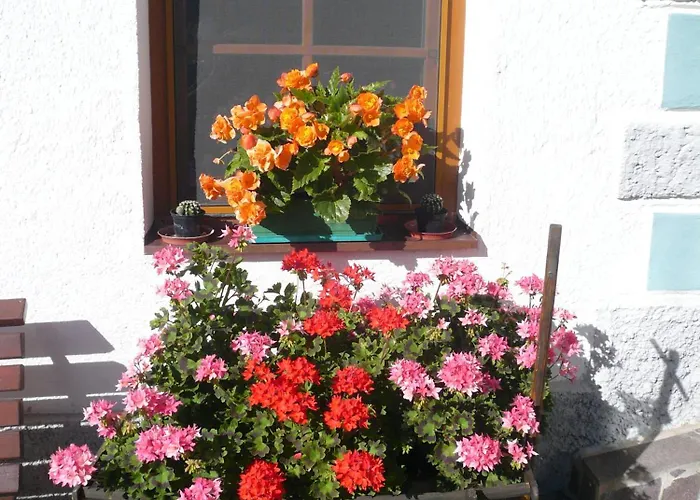 فندق مبيت وإفطار Haus Daheim 3*